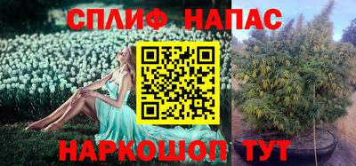 скорость Железногорск
